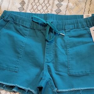 YMI Women's Teal Shorts